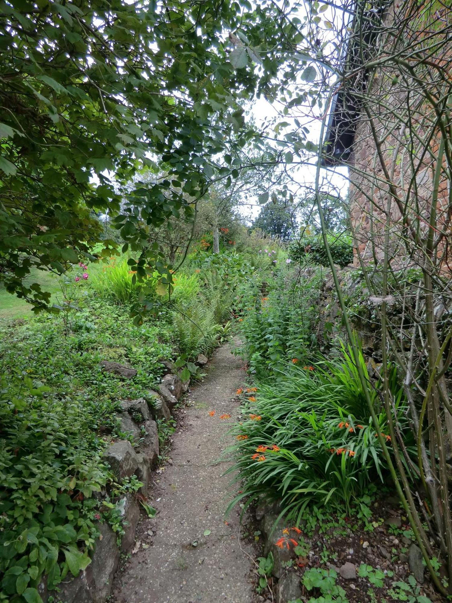 Castle Of Comfort Hotel Nether Stowey Buitenkant foto